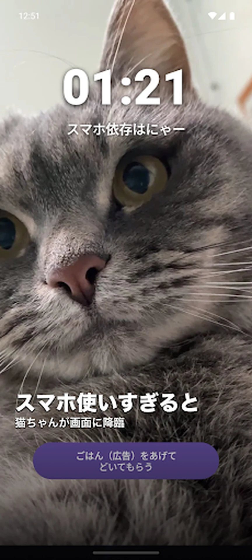 猫ちゃん休憩ガーディアンのアプリ画面