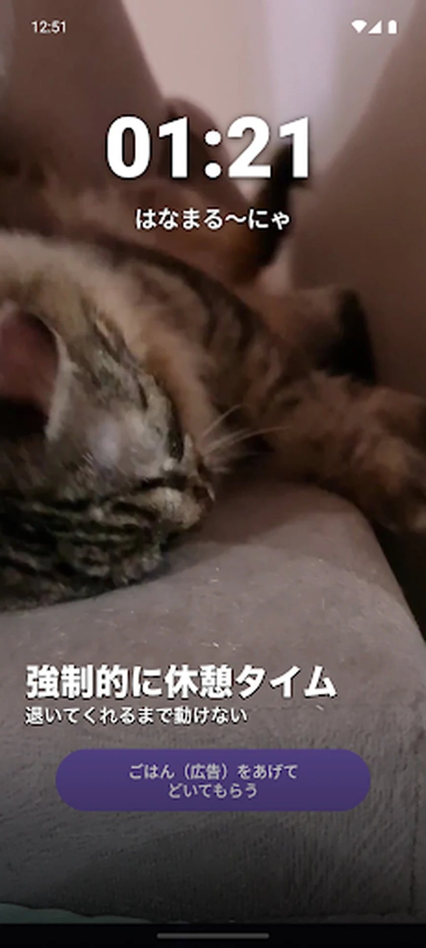 猫ちゃん休憩ガーディアンの画面 3