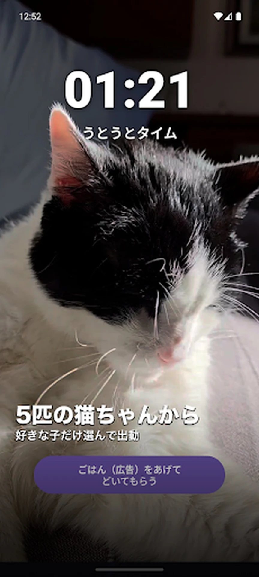 猫ちゃん休憩ガーディアンの画面 5